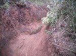 2009-06-07 17-28-54-11411_redimensionar.JPG