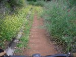 2009-06-07 17-33-48-11415_redimensionar.JPG