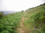 2009-06-07 17-46-02-11420_redimensionar.JPG