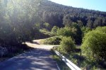 DSC03907.jpg