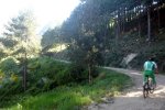 DSC03908.jpg