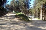 DSC03911.jpg