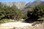 DSC03913.jpg