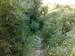 11062009626.jpg