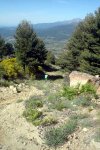 DSC03916.jpg