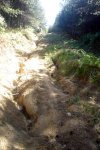 DSC03919.jpg