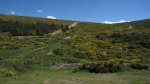 pico nevero38_1024x575.JPG