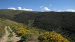 pico nevero39_1024x575.JPG