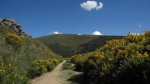 pico nevero41_1024x575.JPG