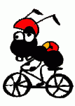 hormiga-bici02.gif