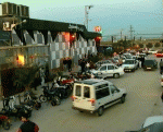 1[1].gif