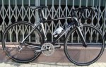 TREK01.jpg