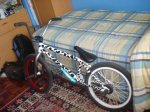 DSC04195.jpg
