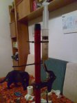 Imagen009.jpg