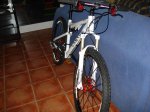 DSC01178.jpg