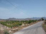 DSCF3646.JPG