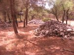 Piedras.jpg
