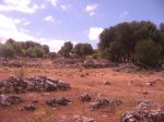 Piedras2.jpg