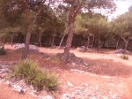 Piedras3.jpg