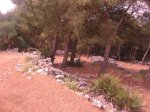 Piedras24.jpg