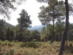 DSCF3676.JPG