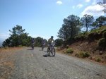 DSC01377.jpg