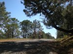 DSC01381.jpg