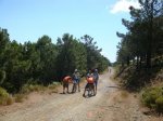 DSC01406.jpg