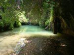 IMG_0894.jpg