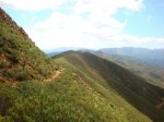DSC01441.jpg