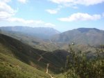 DSC01442.jpg