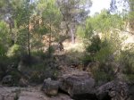 salida 13.06.09 013 [Resolucion de Escritorio].jpg