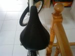 DSC00053.jpg
