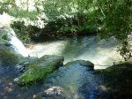 DSC00039.jpg