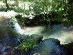 DSC00040.jpg