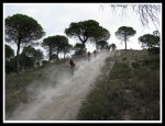IMG_1166.jpg