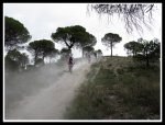 IMG_1167.jpg