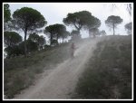 IMG_1175.jpg