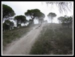 IMG_1176.jpg