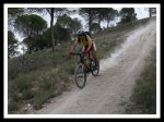 IMG_1184.jpg