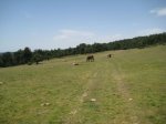 IMG_1607.JPG
