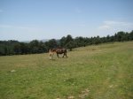IMG_1608.JPG