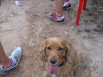 IMG_2082.jpg