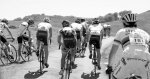 bettini.jpg
