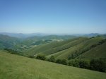 P1010438_resize.JPG