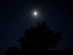 DSCN5034 (Medium).JPG