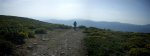 Panorama 9 (Medium).JPG