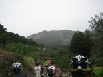 IMG_3956.jpg