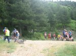 IMG_3959.jpg