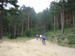 IMG_3963.jpg